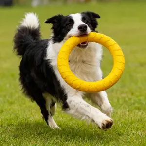Dog Training Flying Ring Toy, Chewable Puppy Toy Set, Durable Dog Chewing Toys for Large Breeds, Complete Pet Playset