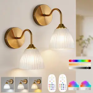 Battery-Powered Wall Lamp, Rechargeable Adjustable Light, RGB Bulb with Remote, Body, Acrylic Shade, Modern Home Decor, Modern Mood Lighting