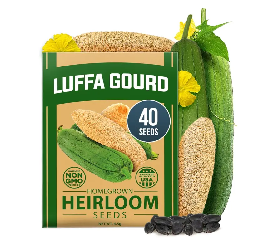 HOME GROWN Luffa Seeds 40 Heirloom Non-GMO Loofah Gourd Seeds for Planting, High Germination, Grow Your Own Natural Bath Sponges, Edible Vining Vegetable Garden, Harvest Young Gourd (Luffa aegyptiaca)