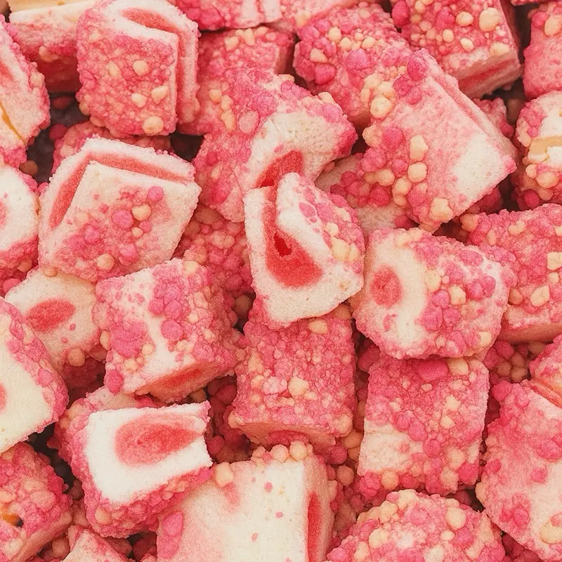 Freeze Dried STRAWBERRY SHORTCAKE Ice Cream Bites Snack - TikTok Viral - LARGE BAG - Astronaut Candy