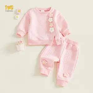 Toddler Baby Girl Clothes Cute 3D Floral Infant Long Sleeve Sweathsirt Fall Winter Outfits Kids Pullover Pants Set