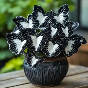 800 pcs Hosta Seeds – Reliable Shade Perennials for Yards & Borders