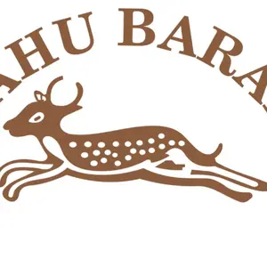 background preload poster image 