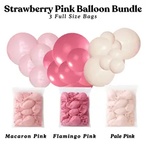 Strawberry Pink Balloon Bundle - Macaron Pink, Flamingo Pink, Pale Pink