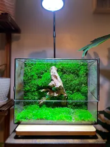Driftwood M - Glass Terrarium with Preserved Moss and Natural Driftwood for Home Decor