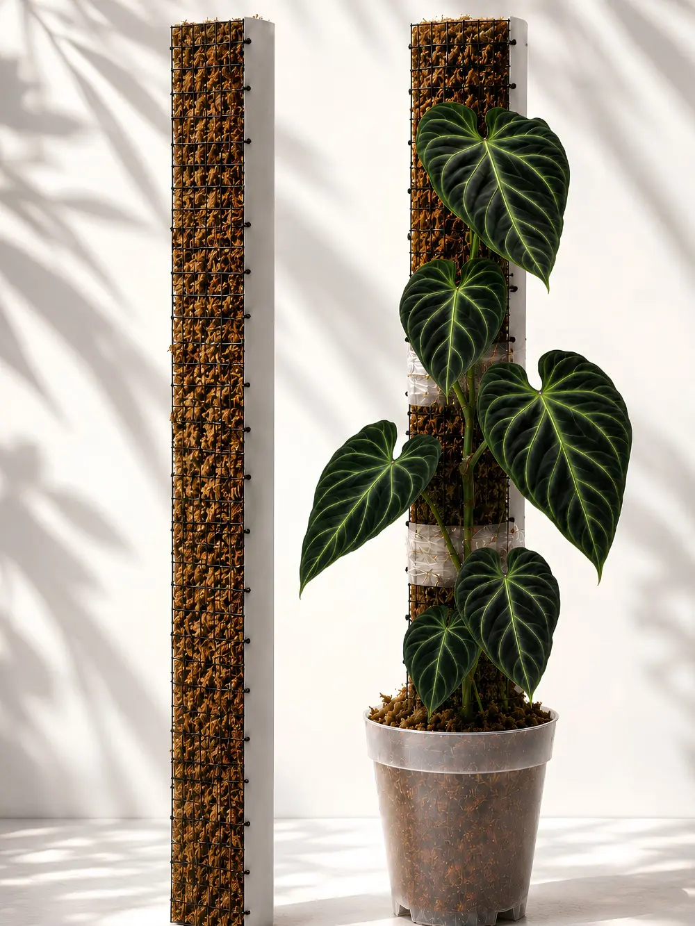 D-Shape Moss Poles for Climbing Plants — Handmade Support for Vertical Growth