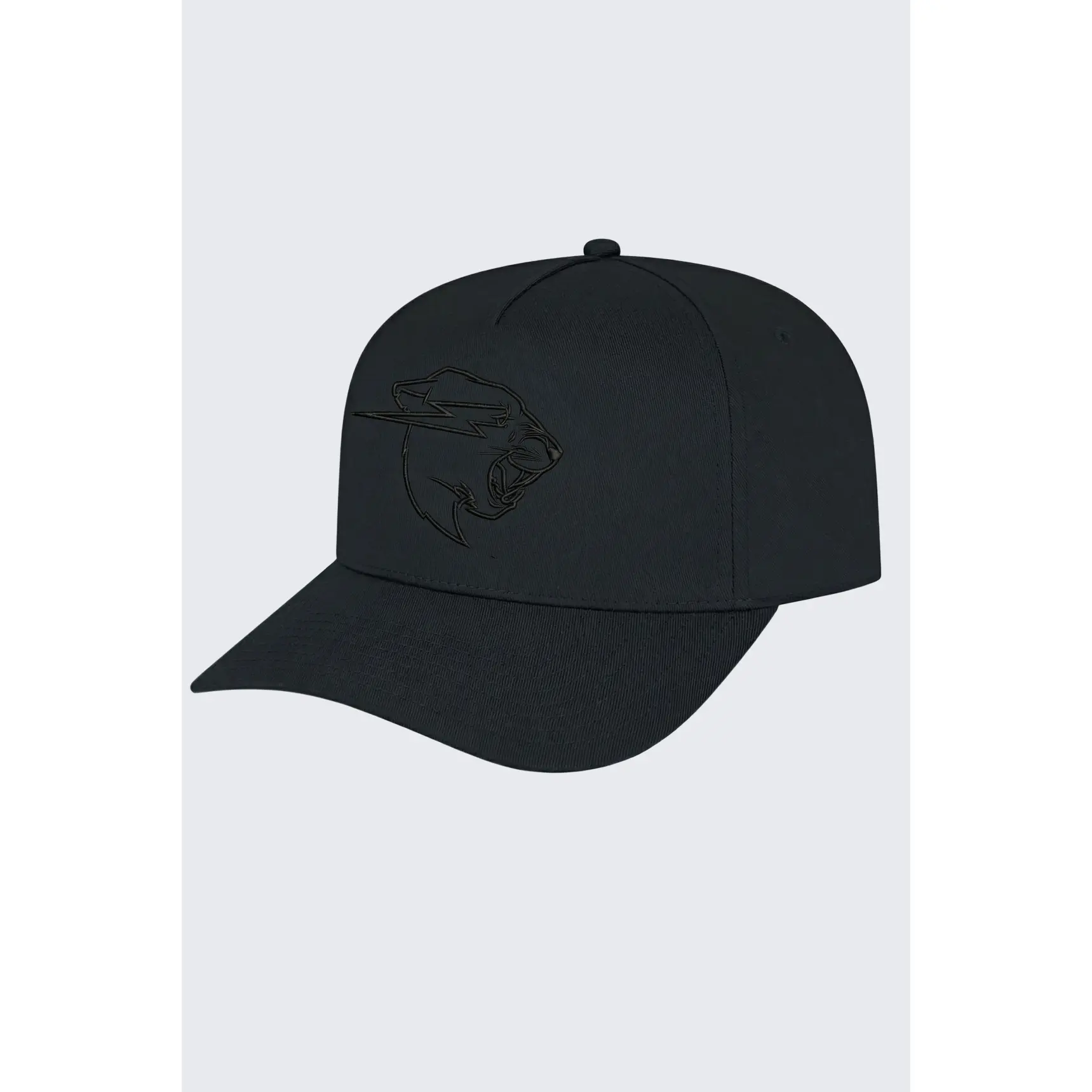 Stealth Panther Hat