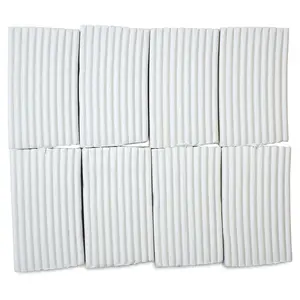 Sculpey Clay White - 8 lb