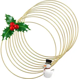 10 count 6/8/10/12 Inch  Macrame Dream Catcher Rings,  Metal Hoops DIY Floral Macrame Hoop for Wall  Crafts Wreath Ring for Wedding Wreath Decor (12 Inches)