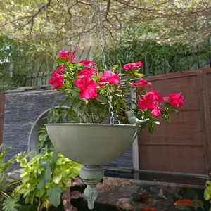 Vintage Style Forging Iron Hanging Basket with Chain, Rustic Half Round Bucket Planter, Indoor/outdoor Garden Decor, Painted, Hanging Plant Pot, Outdoor Metal Planter