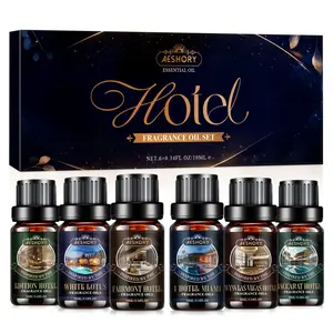 Aeshory Hotel Diffuser Oils Gift Set - 6x10ML Luxury Fragrance Oil Blend for Diffuser Candle Soap Making Essential Oil Set