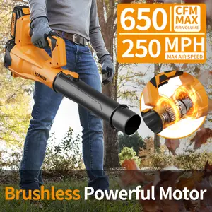 HANWISE Leaf Blower Cordless, Leaf Blower with Battery and Charger, 650CFM & 6 Speed Levels, Lightweight Handheld Design, Electric Cordless Leaf Blower for Lawn Care, Yard, Blowing Leaves, Dust, Snow