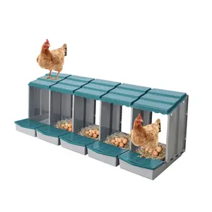 Egg-laying boxes for chicken coops, including those with egg collection and perches, facilitate egg retrieval and protection. Egg-laying boxes with 3/4/5 compartments are also available.