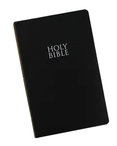 NIV, Gift and Award Bible, Leather-Look, Black Red Letter