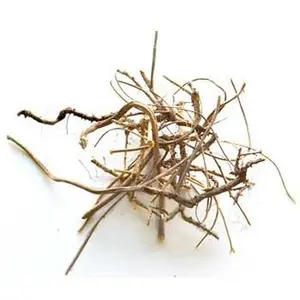 Devils Shoestring Whole 1oz