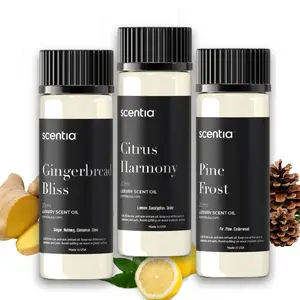 Holiday Collection Scent Oil Sample Set 3X20ml