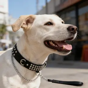 Pet dog and cat collar, a must-have for walking on the street. It is well-made, not easy to break, and durable for a long time. The size is adjustable, so it can be worn from a young age to adulthood. Dogs will get full attention when going out.