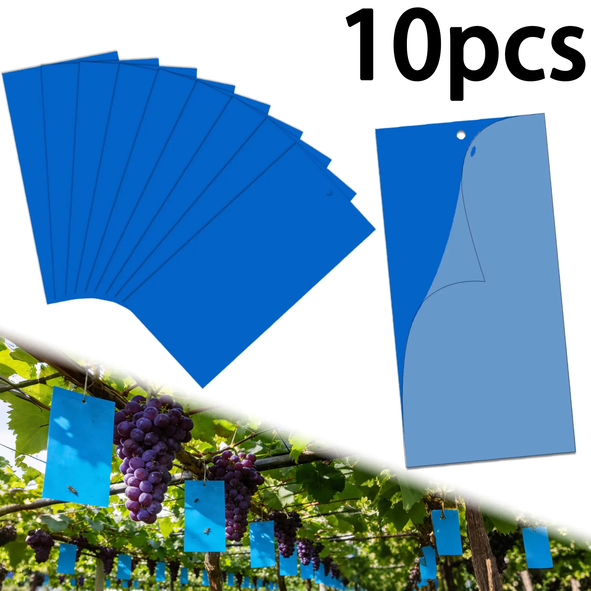 Blue Fly Trap Paper, Agricultural Pest Traps, 20x10cm, Multiple Quantities, Includes Fixing Ties, Dual-Sided Fly Papers, Suitable for Farm Garden Vegetable Orchard Patio Indoor Outdoor Insect Traps