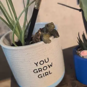 Cute Resin Turtle Statue, Turtle Hanging on The Flower Pot, Indoor Decoration Statue, Flower Pot Decoration, Suitable for Garden, Courtyard and Home Decoration, Gifts for Girlfriend