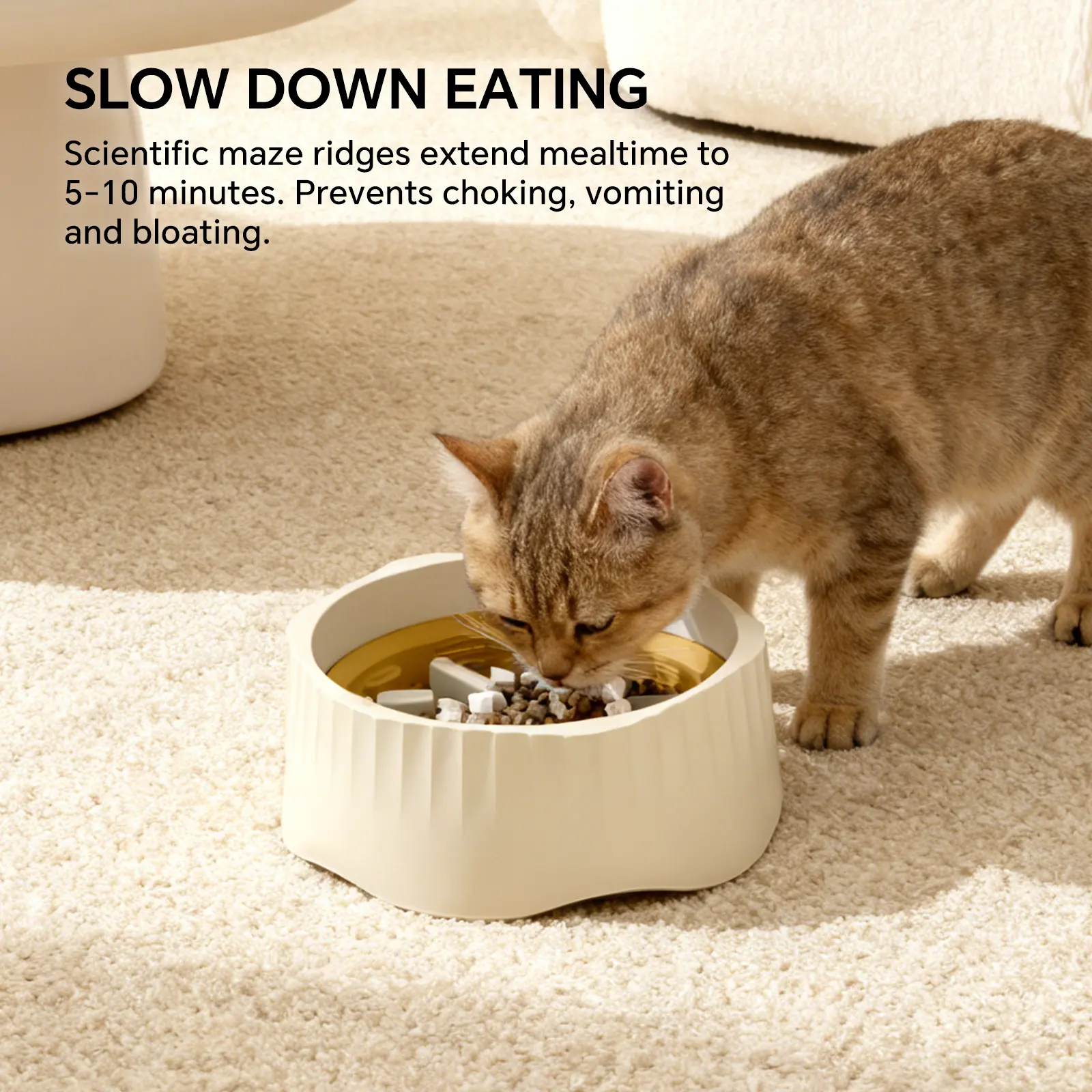 sensitive stomach wet cat food Intestinal Wet Cat Food for Sensitive Stomachs & Digestive Support, Fi   Forza10 America