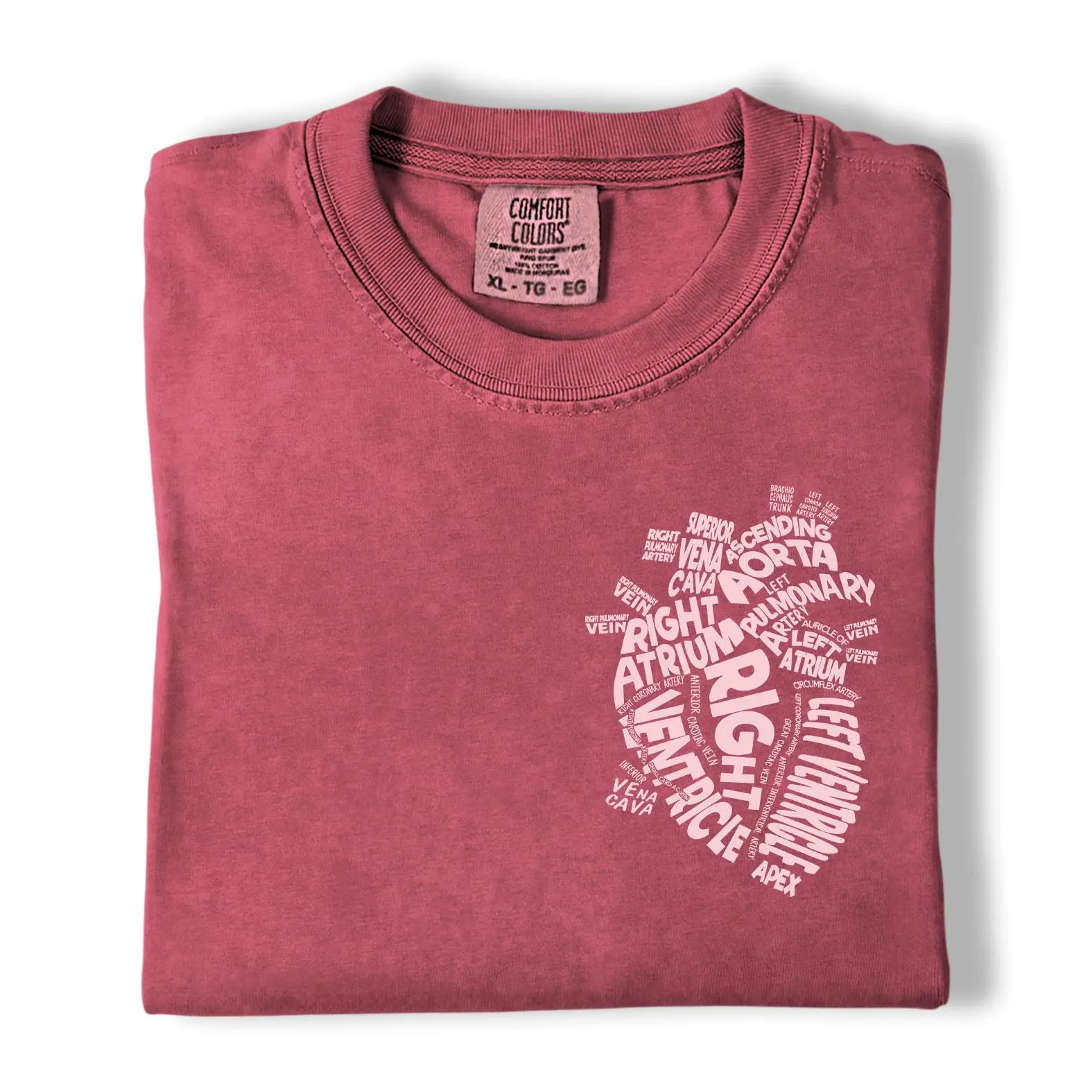 Comfort Colors Cardiology Nurse Shirt, Heart Anatomy Graphic Tee, Medical Shirt, Gift for Cardiac Nurses