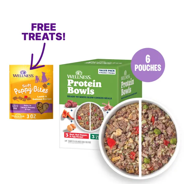 Wellness Protein Bowls, Adult Fresh Alternative Dog Food, Wholesome Grains, 6.2 Ounce Pouch, 6 Pack, (Beef & Lamb Value Pack)