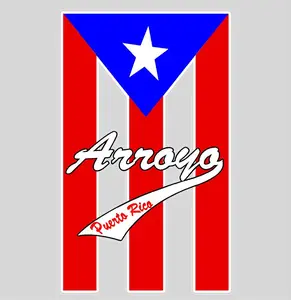Puerto Rico Flag with towns