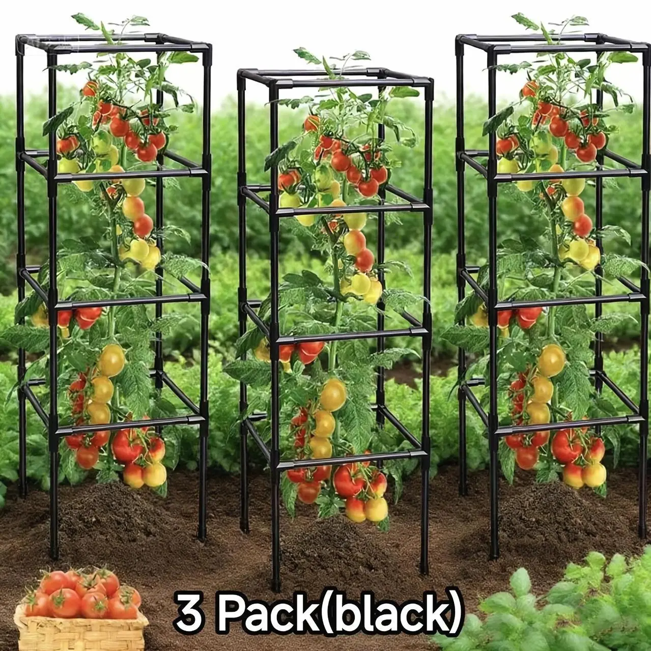 Tomato Cage, 3-Pack, Square Tomato Plant Stakes Support Cages Trellis for Garden Climbing Vegetables Flowers Fruits, 53-Inch Garden Trellis
