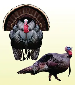 2D Tom Turkey Frontal & Broadside Targets Combo Pack