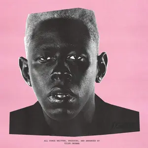 Igor - Tyler The Creator - Record Album, Vinyl LP