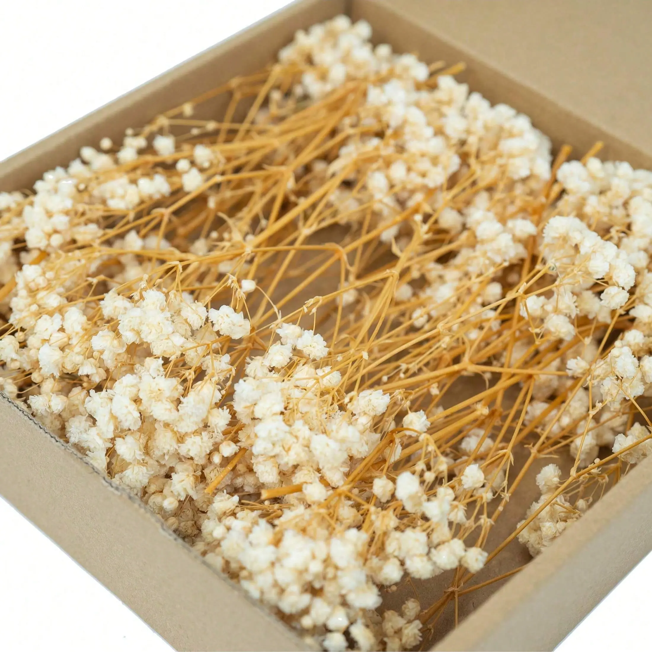 NortureFlora Dried Baby's Breath Decorative Flowers - Natural Stems, Soft-Tone Blooms (50/100/200/300/400 PCS Packs) for Vase Fillers, Wedding Decor, Living Room Decorations