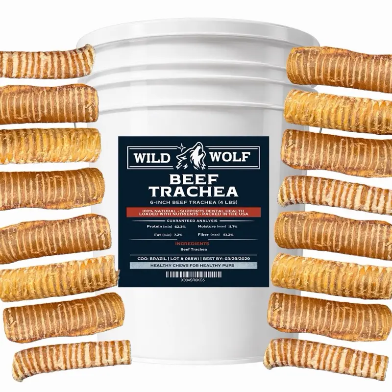 <Golden Ticket!> 6” Beef Trachea Bucket (4 lbs) 100% Natural Dog Chew Treats - Single-Ingredient Puppy Treats Puppy Snacks