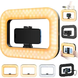 Cell Phone Light for Video Recording, Handheld Phone Stabilizer with Light, 8000mAh LED Selfie Phones Ring Light with Phones Holder, Smartphone Video Rig for Camera, Action Camera, Vlog,