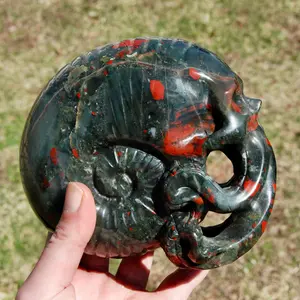 6in 4.2LB HUGE African Bloodstone Crystal Nautilus Octopus Skull