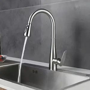 Modern Stainless Steel Pull-Out Kitchen Faucet with Hot and Cold Mixer, Rotatable Splash-Proof Design, Sleek Chrome Finish - Ideal for Modern Kitchens, Kitchen Faucet | Sleek Faucet Design | Stainless Steel Finish, Kitchen Faucet Replacement