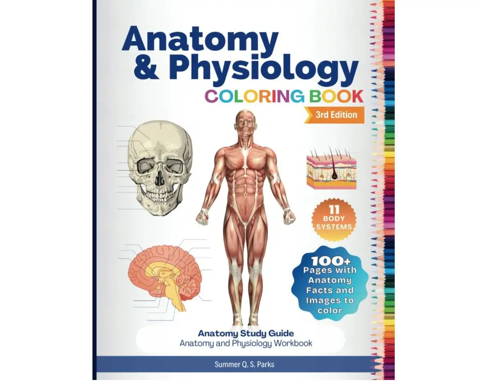 Anatomy and Physiology Coloring Book: Anatomy Study Guide. Anatomy and Physiology Workbook Paperback – Large Print, November 21, 2020
