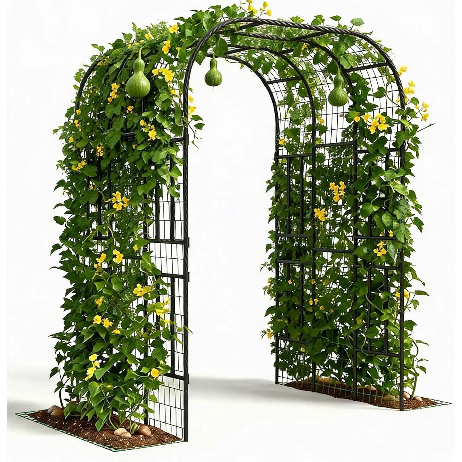 Garden Arch Trellis for Climbing Plants, Double-Panel Raised Bed