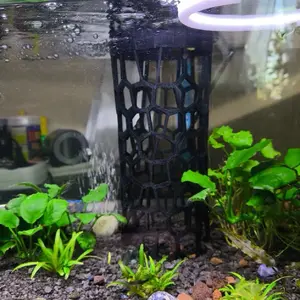 Vase to Aquarium