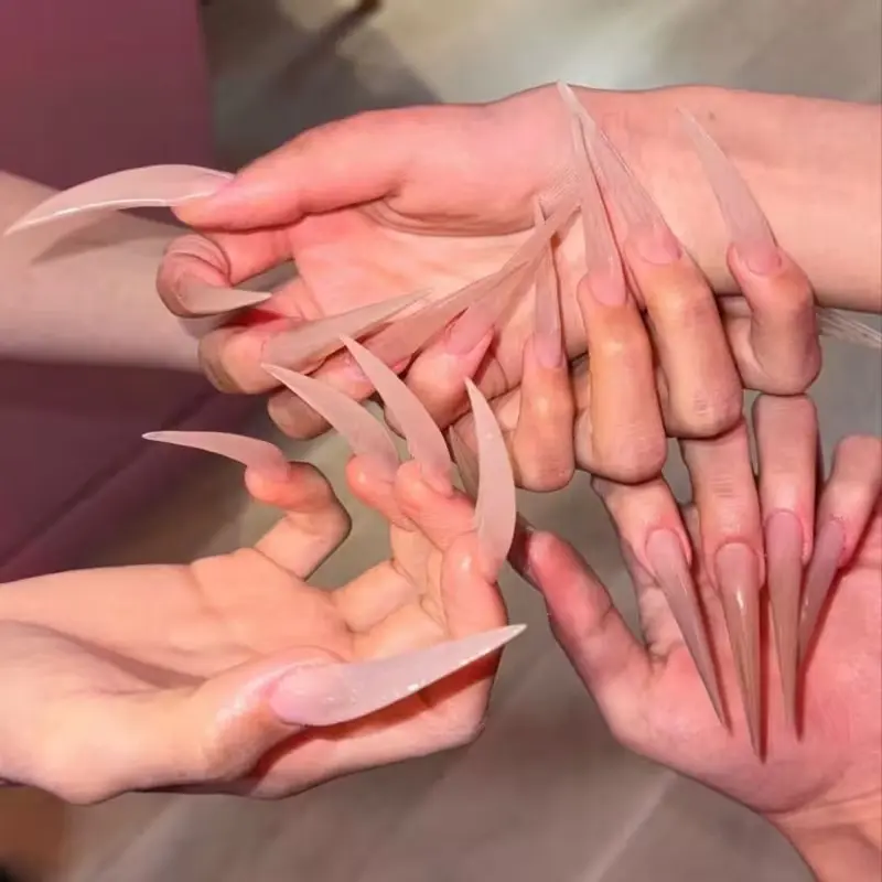 10 Pcs Bare Color Long Ballerina Falsenails, Glossy Press-On Nails, Reusable 3D Dragon Claw Cat Paw Design, Women's Handmade Press Ons DIY Nail Art