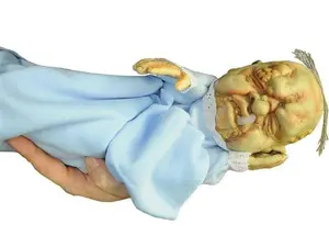 Stinky Baby Hand Puppet