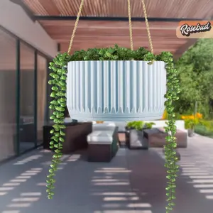 MCR Bowl Hanging Plant Pot for Indoor or Outdoor