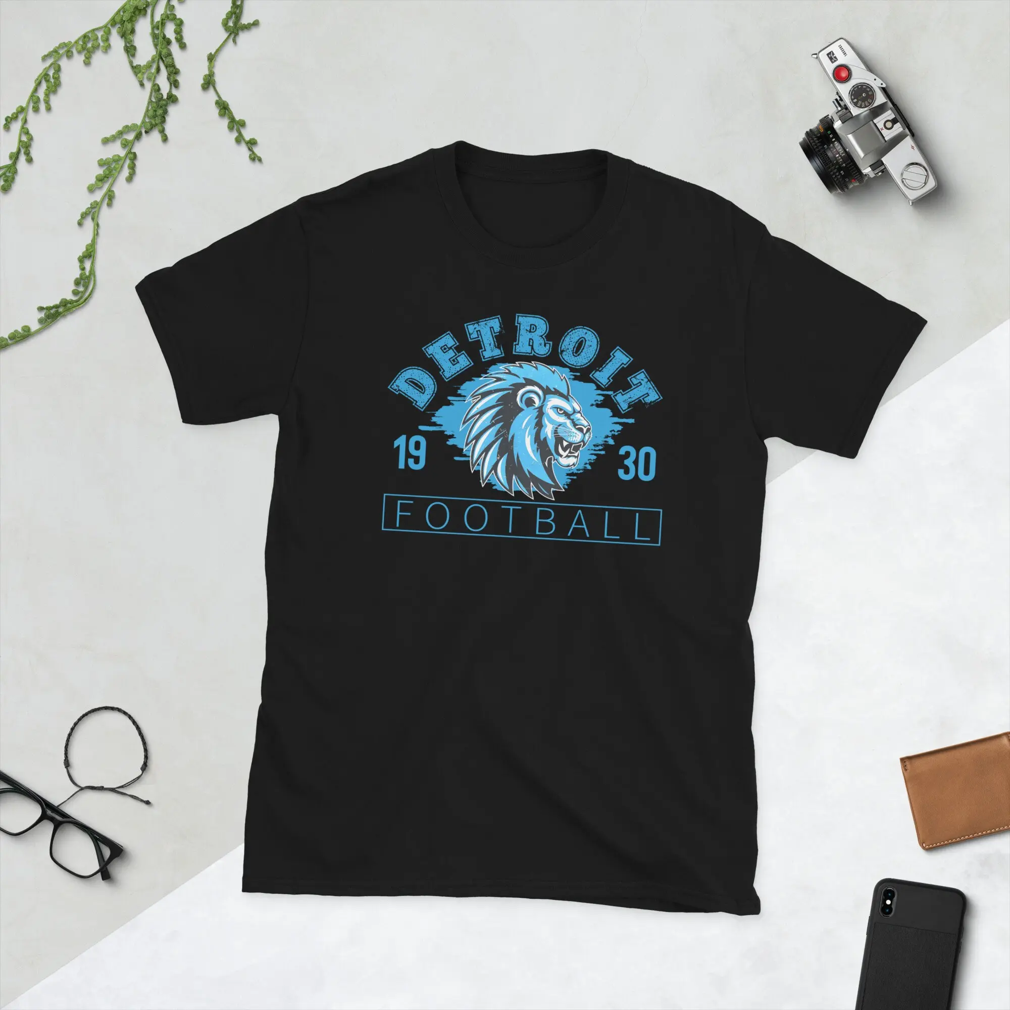 Detroit Lions tee, Detroit shirt, football shirt, Lions shirt, football fan. Free Shipping