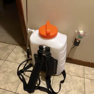 review image 5