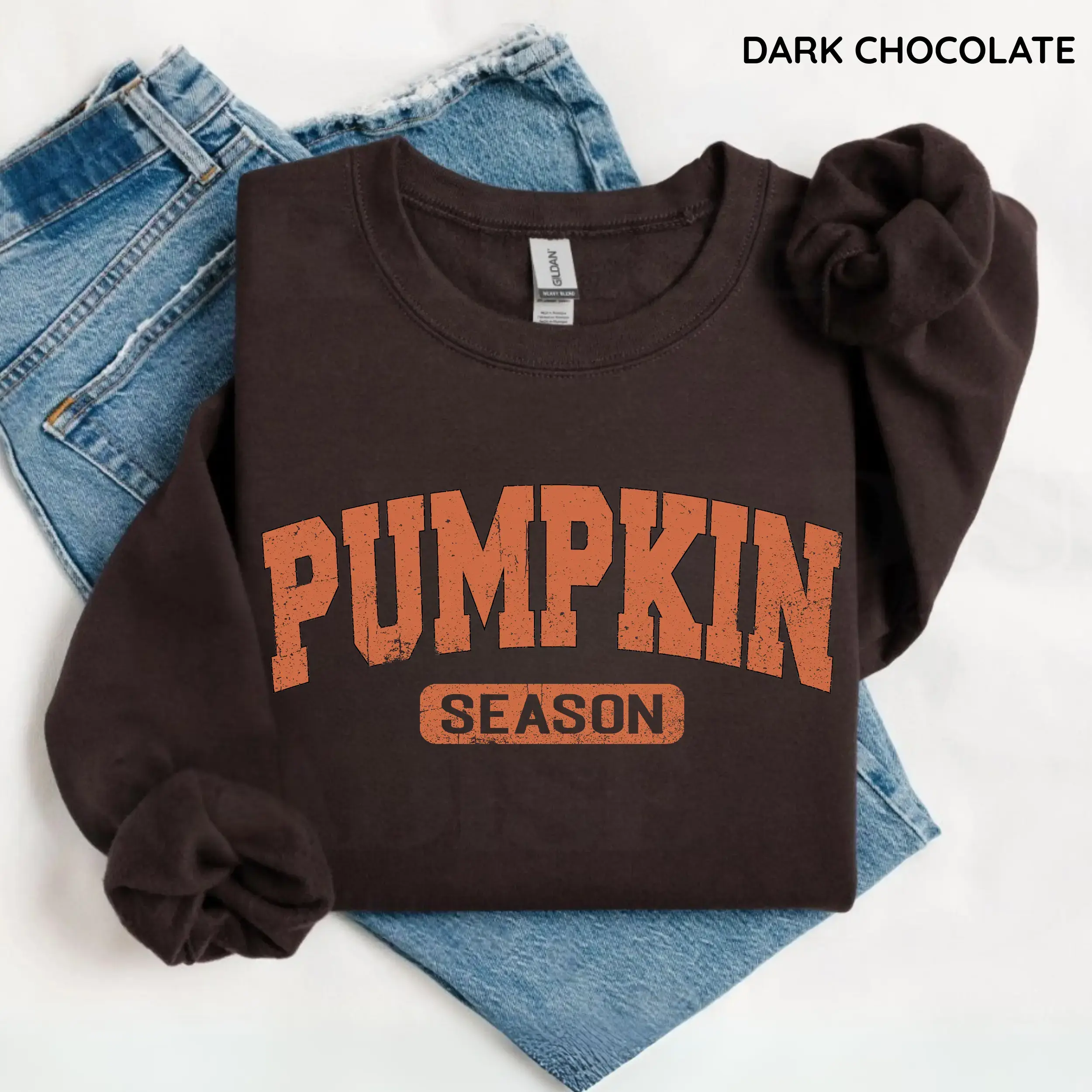Retro Pumpkin Season Sweatshirt , Cute Fall Autumn Pullover, Cozy Thanksgiving Outfit, Vintage Halloween Pumpkin Shirt for Women, Spooky Season Graphic Top, Casual Fall Clothing Gift