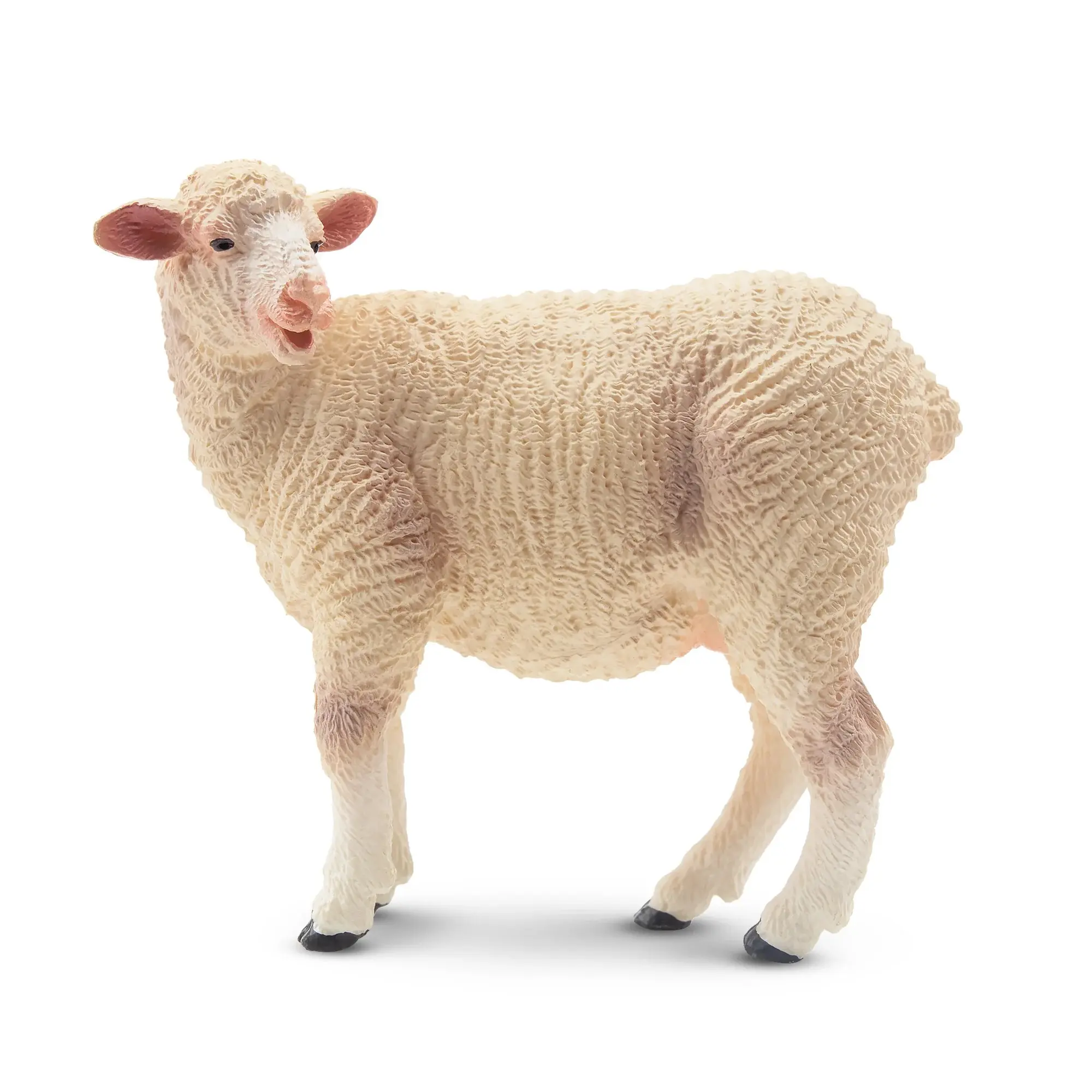 Toymany Hand-Painted Plastic White Ewe Figurine - Unisex Realistic Animal Toy Figure, Early Education Tool, Montessori Sensory Play Accessory, Gift for Collectors