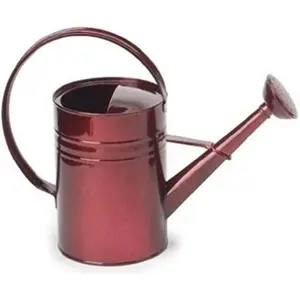 HIT  1 gal Enameled Galvanized Steel Watering Can with Removable Rosette, Glazed Apple