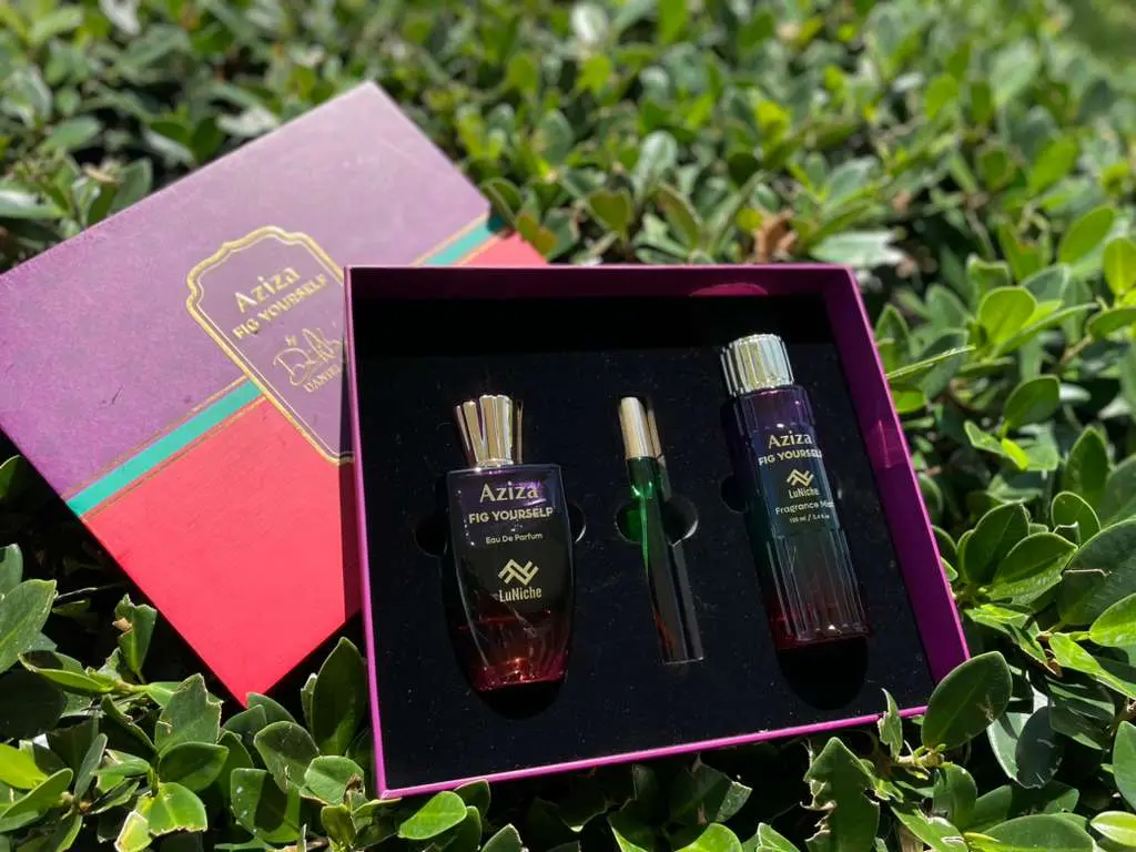 Fig Yourself 3pc Giftset by Daniel Rene x LuNiche 100ml Bottle x 100ml Fragrance Mist x 10ml Travel Spray