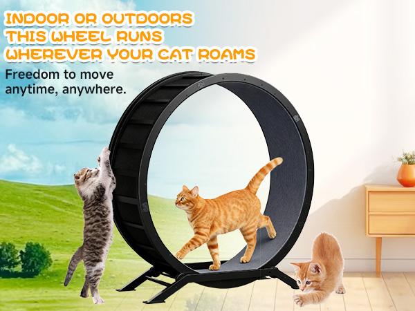 COMHOMA Cat Wheels, 40" Diameter, Large Cat Exercise Wheel for Indoor Cats Cat Treadmill Metal with Detachable Carpet & Teaser/Stickers Ultra-Quiet Scroll Wheel with Latch Safe and Stable COMHOMA Cat Wheels, 40" Diameter, Large Cat Exercise Wheel for Indoor Cats Cat Treadmill Metal with Detachable Carpet & Teaser/Stickers Ultra-Quiet Scroll Wheel with Latch Safe and Stable