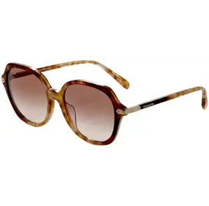 Coach Women's 55mm Caramel Snow Tortoise Gradient Sunglasses HC8377U-57753C-55
