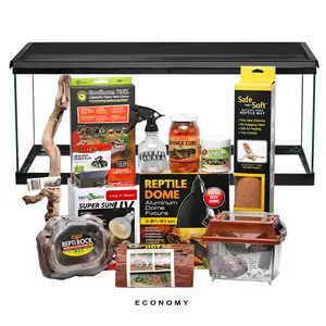 COMPLETE Baby Bearded Dragon Setup